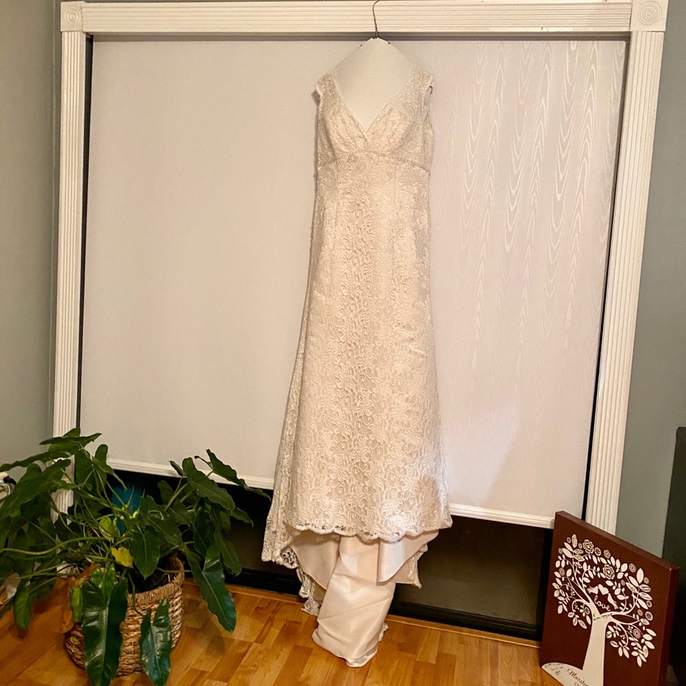 2018 David’s Bridal Wedding Dress